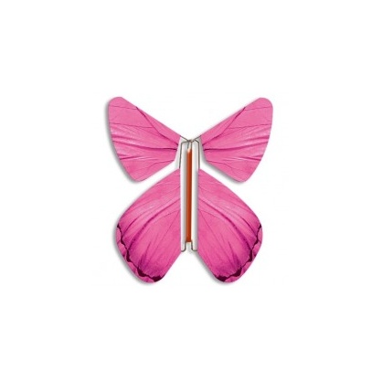Magic Butterfly pink spring