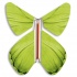 Magic Butterfly green spring