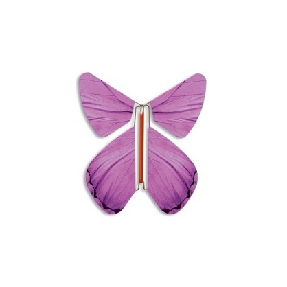 Magic Butterfly purple spring