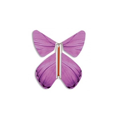 Papillon volant Printemps lilas