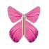 Papillon volant Printemps rose