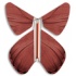 Papillon volant Printemps chocolat