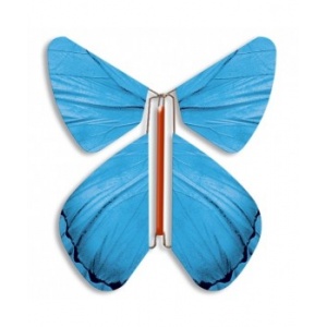 Magic Butterfly  blue spring 