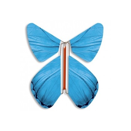 Papillon volant Printemps bleu