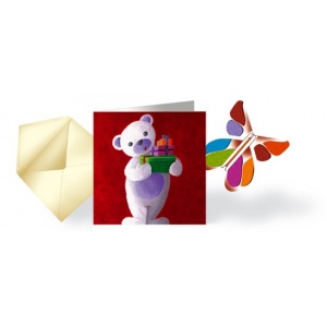  Carte & Papillon volant ourson