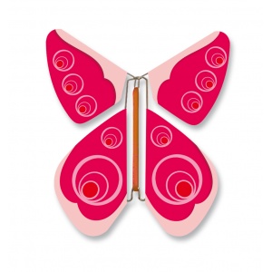 Magic Butterfly  Rosy