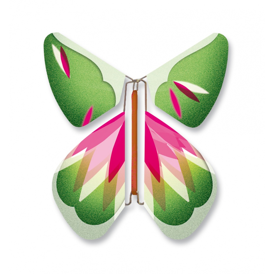 Papillon Volant Rose Vert Papillon Volant Rose Vert