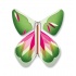 Papillon Rose-Vert