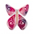 Magic Butterfly  Bordeau