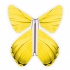 Papillon volant Printemps Jaune