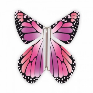 Magic Butterfly New Pink
