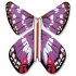 Papillon volant Grand Mars