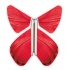 Papillon volant Printemps Rouge