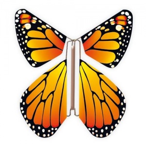 Papillon volant  New orange