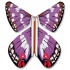 Magic Butterfly "grand Mars"