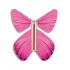 Magic Butterfly pink spring