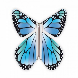 Magic Butterfly New blue