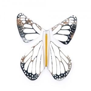 Pack 5 Butterfly New White-Silver Metal