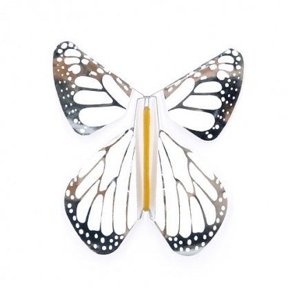 Pack 5 Butterfly New White-Silver Metal