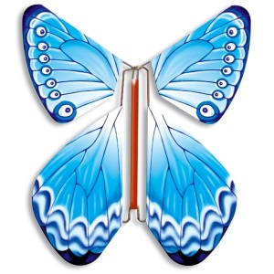 Magic Butterfly  blue