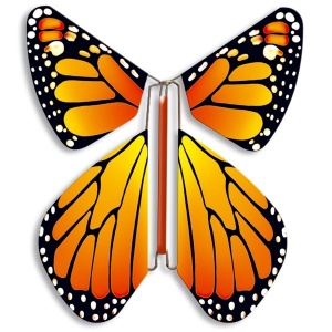 Papillon volant orange