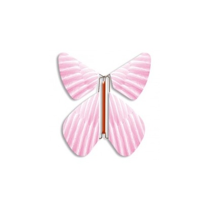 Magic Butterfly pink Feather