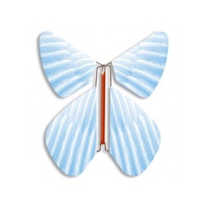 Magic Butterfly blue Feather