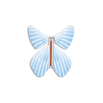 Magic Butterfly blue Feather