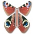 Magic Butterfly "Paon du Jour"