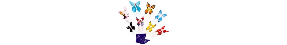 PAPILLONS MAGIQUES PAPILLONS MAGIQUES